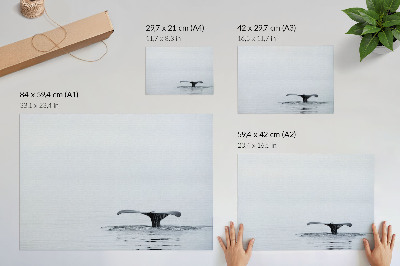 Plakat na ścianę „Oceaniczny spokój”