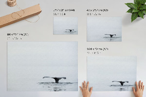 Plakat na ścianę Oceaniczny spokój