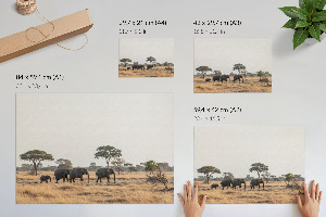 Plakat na ścianę Afrykańska sawanna