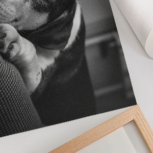 Plakat dekoracyjny Śpiący pies