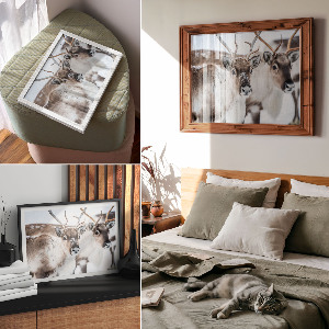 Plakat Renifery zimą