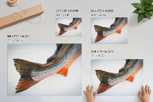 Plakat na płótnie Rybi ogon