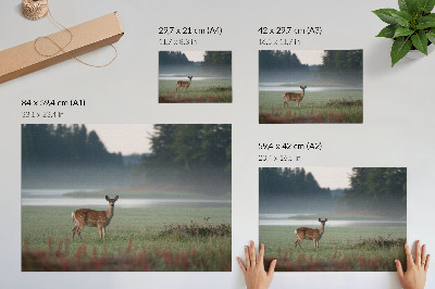 Plakat ścienny Leśna sceneria