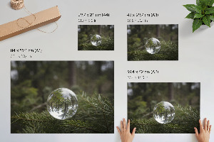 Plakat dekoracyjny Sosnowe odbicie