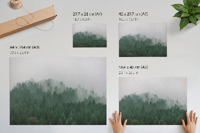 Plakat „Leśna mgła”