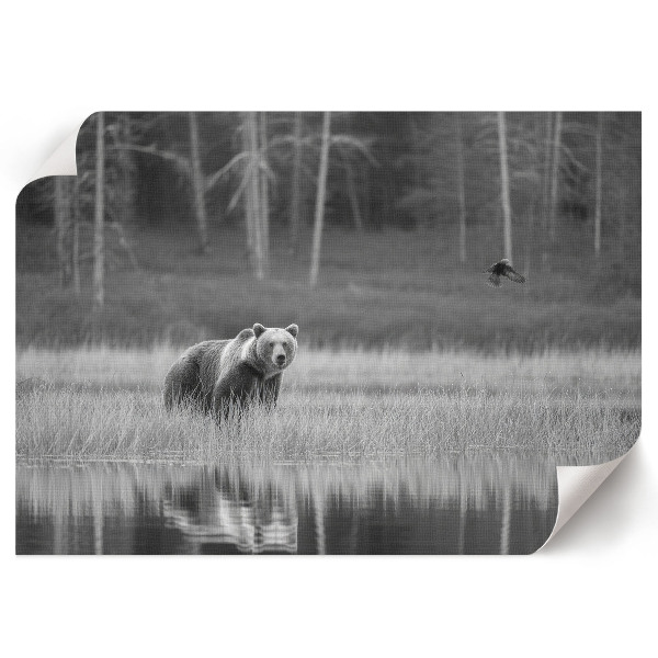 Plakat na płótnie Leśna scena