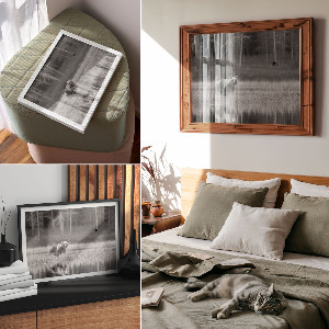 Plakat na płótnie Leśna scena