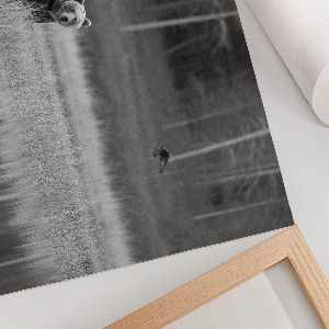 Plakat na płótnie Leśna scena