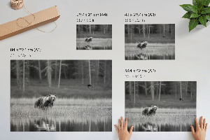 Plakat na płótnie Leśna scena