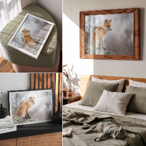 Plakat ścienny Rudy lis