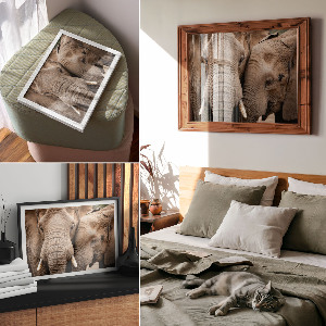 Plakat na płótnie Słonie razem