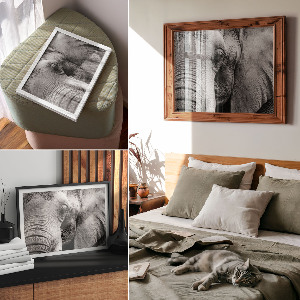 Plakat na płótnie Słoń detal