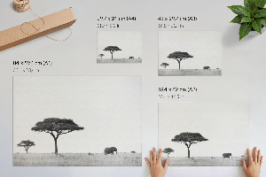 Plakat na ścianę Afrykańska sawanna