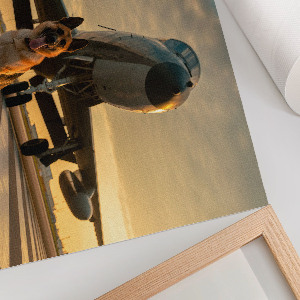 Plakat ścienny Pies i samolot