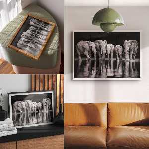 Plakat dekoracyjny Słonie wieczorem