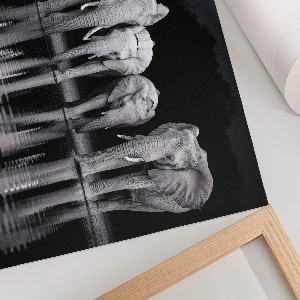 Plakat dekoracyjny Słonie wieczorem