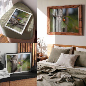 Plakat na ścianę Owoc na gałęzi