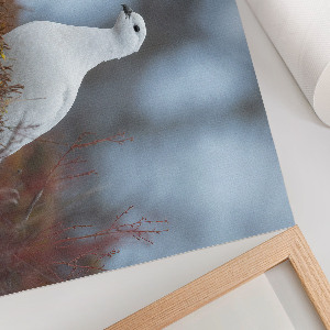 Plakat dekoracyjny Zimowy krajobraz