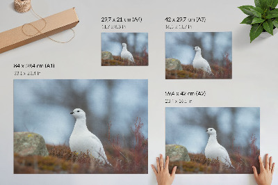 Plakat dekoracyjny z zimowym krajobrazem