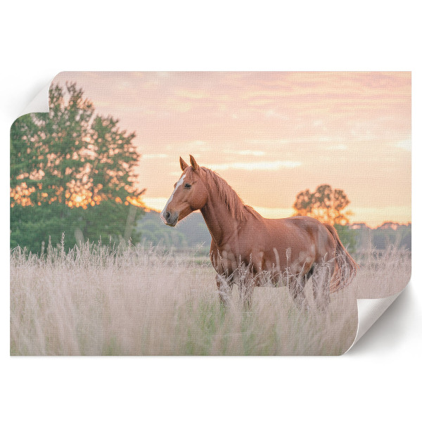 Plakat dekoracyjny Poranny spokój