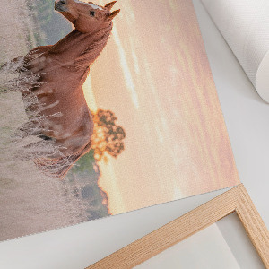 Plakat dekoracyjny Poranny spokój