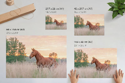 Plakat dekoracyjny „Poranny spokój”