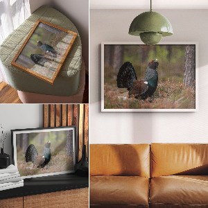 Plakat na ścianę Ptak w lesie