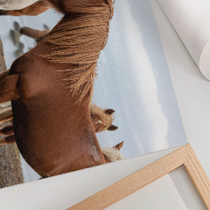 Plakat na płótnie Konie w krajobrazie