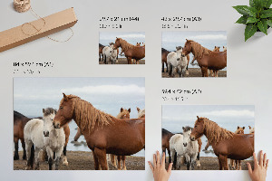 Plakat na płótnie Konie w krajobrazie