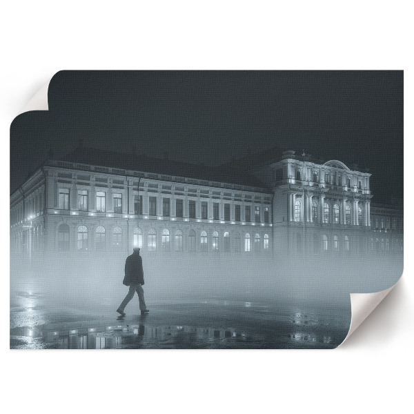 Plakat na płótnie Nocna scena