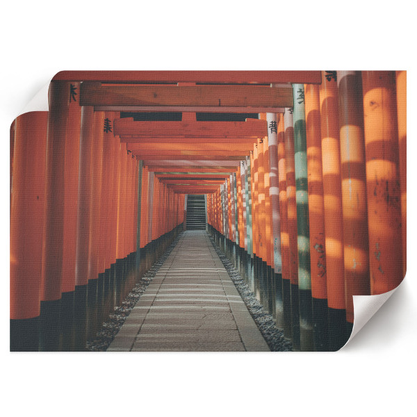 Plakat na ścianę Tunel w Azji