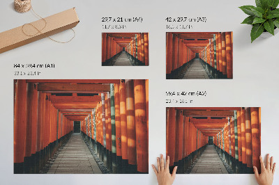 Plakat na ścianę „Tunel w Azji”