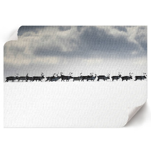 Plakat na ścianę Arktczna podróż