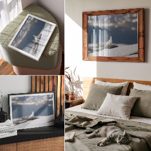 Plakat dekoracyjny Śnieżny ptak