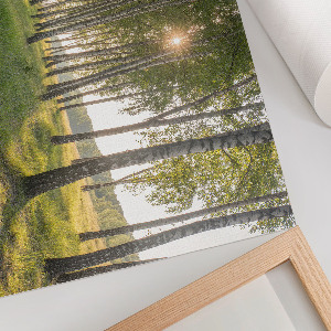 Plakat Leśny spokój