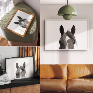 Plakat dekoracyjny Uszy konia