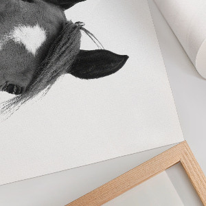 Plakat dekoracyjny Uszy konia