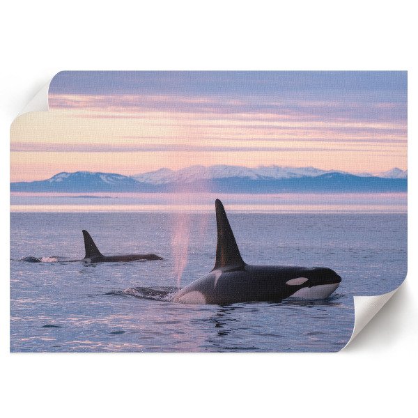 Plakat dekoracyjny Morski pejzaż