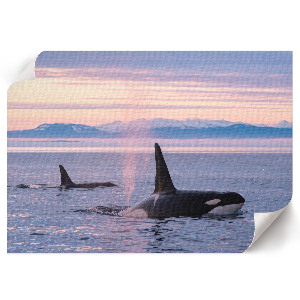 Plakat dekoracyjny Morski pejzaż