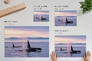 Plakat dekoracyjny Morski pejzaż