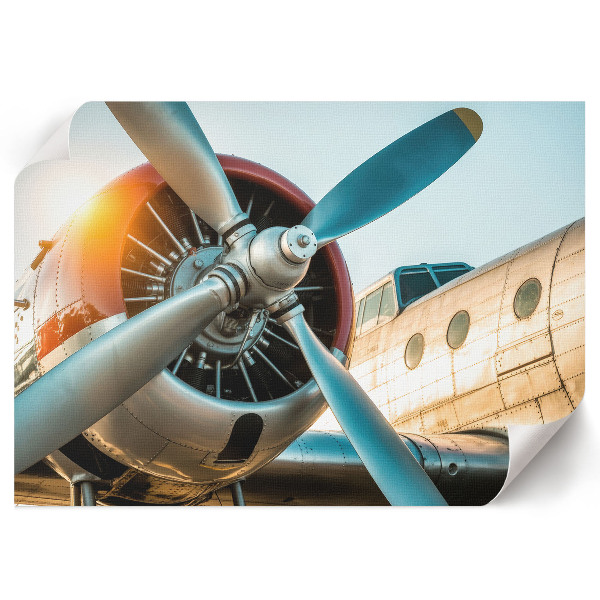 Plakat na płótnie Samolot detal