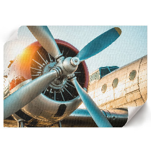 Plakat na płótnie Samolot detal