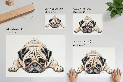 Plakat ścienny z ilustracją mopsa