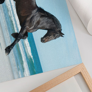 Plakat ścienny Koń w galopie