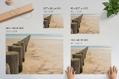 Plakat na płótnie „Plaża spokój”