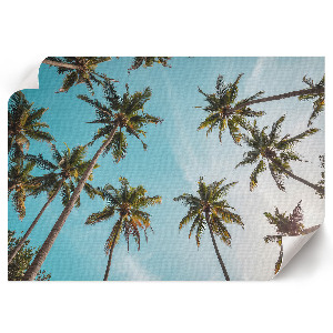 Plakat ścienny Egzotyczny nastrój