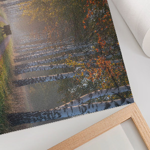 Plakat na ścianę Leśna aleja