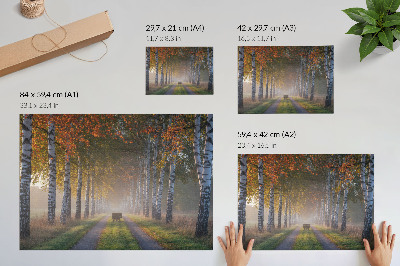 Plakat na ścianę z motywem leśnej alei