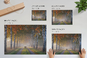 Plakat na ścianę Leśna aleja