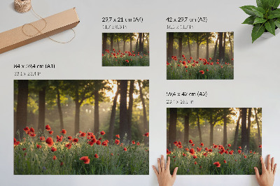 Plakat ścienny z motywem maków i lasu